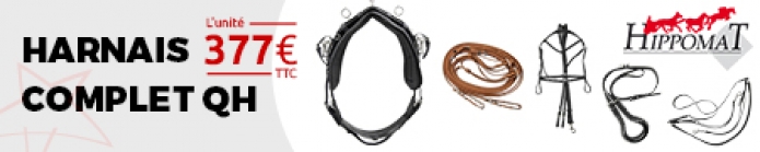 quel age pour le trotteur