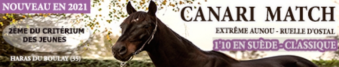 part trotteur a vendre