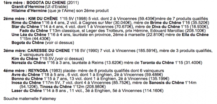 Granit-d---hermine