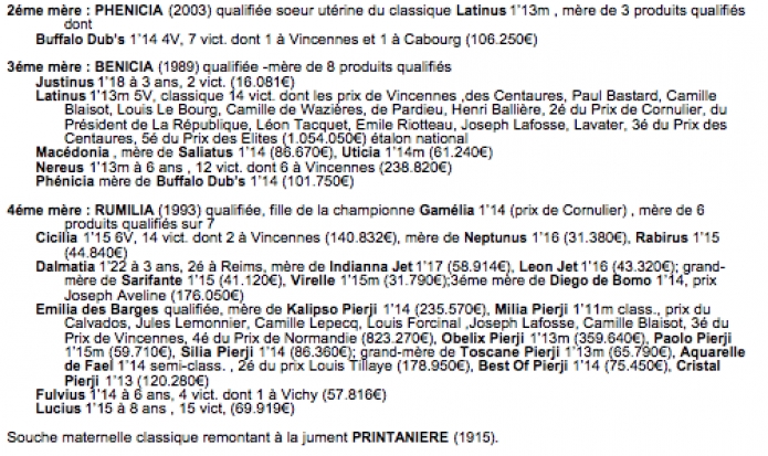 pouliniere-C-par-Orlando-Vici-souche-Gamelia