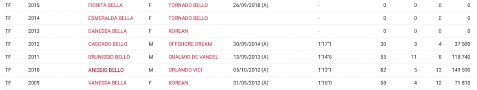 In-love-d---hermine-Tornado-Bello-*-Korean-*-Coktail-jet