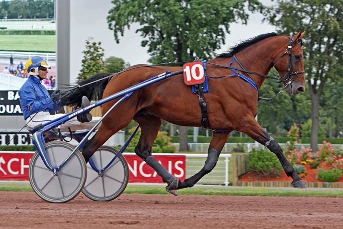 Vends-part-de-Rodrigo-Jet-avec-saillie-2019
