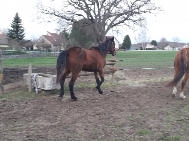 Loue-ou-a-vendre-heidi-de-bessay