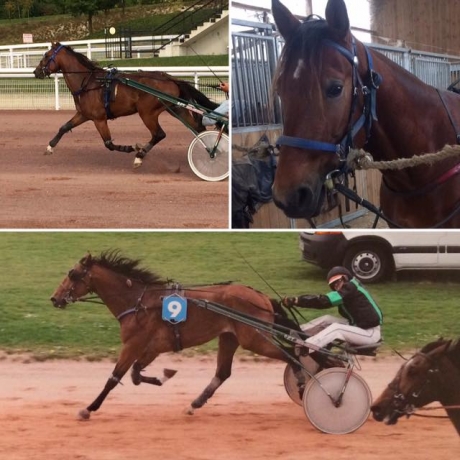 achat trotteur de course