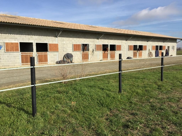 haras trotteur a vendre