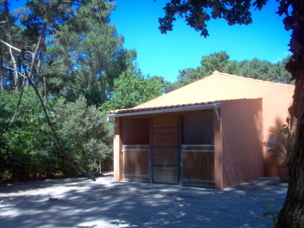 ROYAN-LA-PALMYRE-en-bordure-de-foret