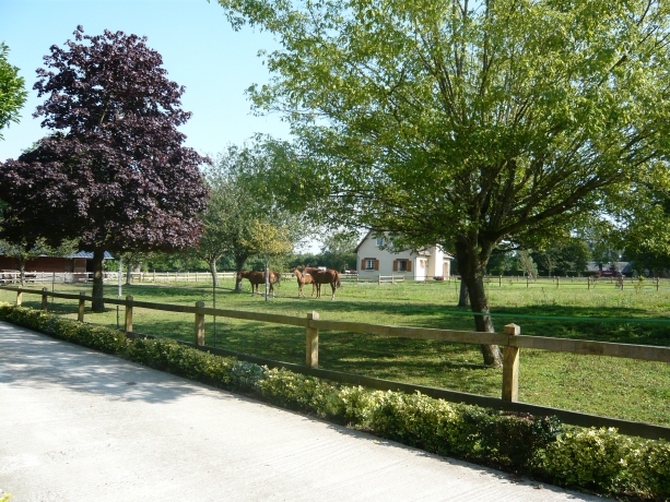 recherche-chevaux-en-pension-au-champ-a-Quetteville