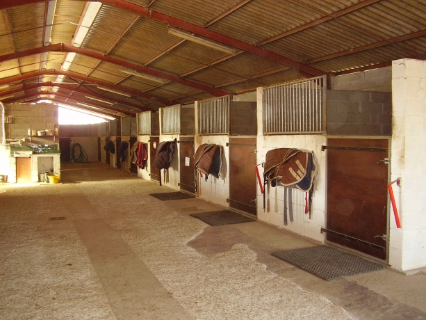 INSTALLATION-ENTRAINEMENT-TROTTEUR