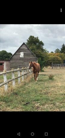 HEIDI-DU-VAL