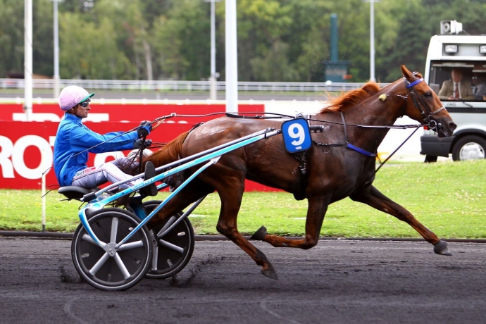 Saillies-disponibles-pour-la-saison-de-monte-a-venir--