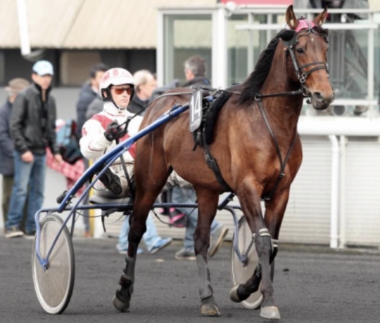 Vends-part-ou-saillie-Village-Mystic-sans-TVA
