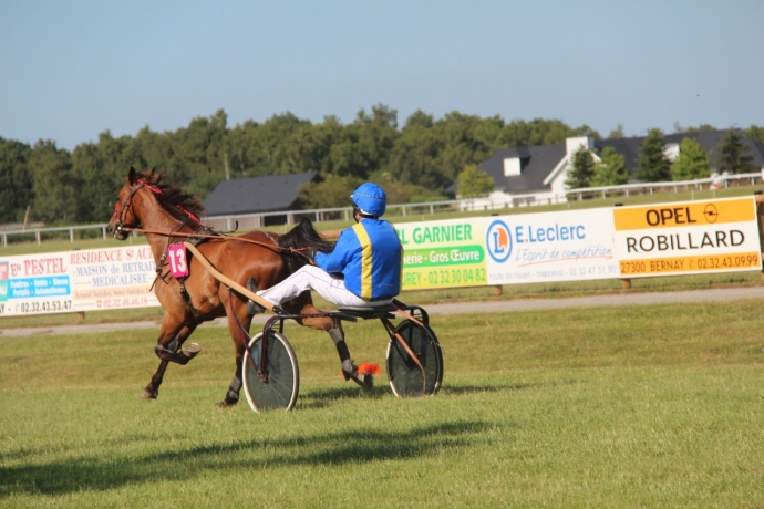 8-ans-hongre-baie
