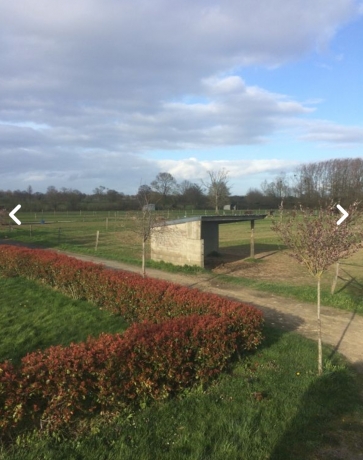 Maison-longere--paddock-et-boxes