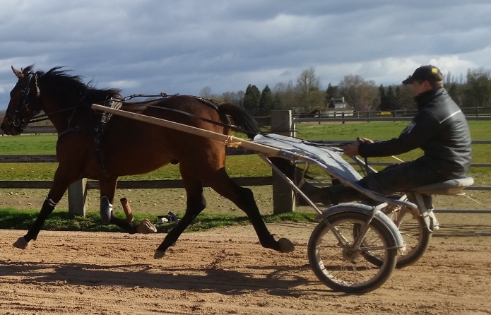 G-a-louer-pour-carriere-de-courseTF