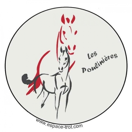 VDS-OU-ARRANGEMENTS-SUR-PLUSIEURS-POULINIERES