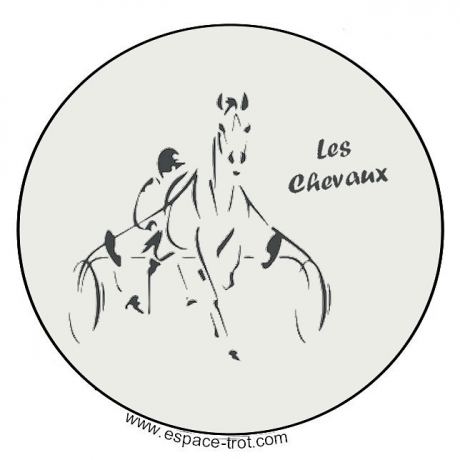 RECHERCHE-CHEVAUX-PReT-A-COURIR