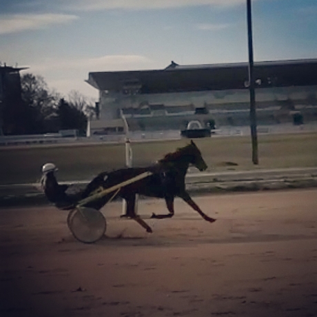 Cherche-trotteur