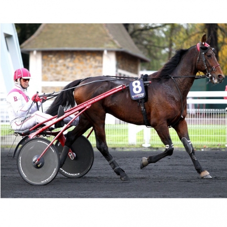 Part-avec-saillie-2020-VILLAGE-MYSTIC