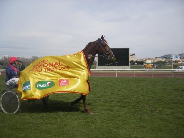 lad-driver-palefrenier-soigneur-elevage