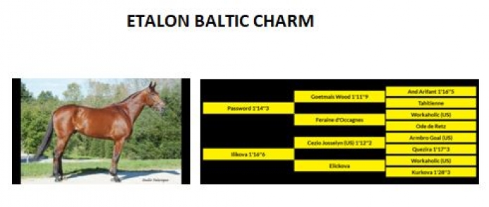 Baltic-Charm