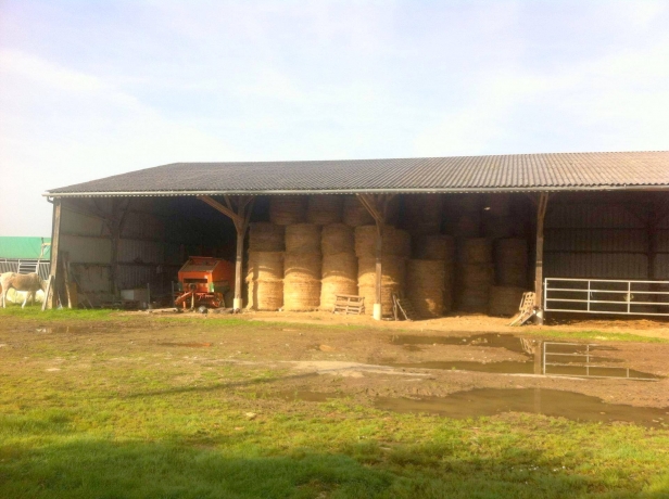 haras trotteur a vendre