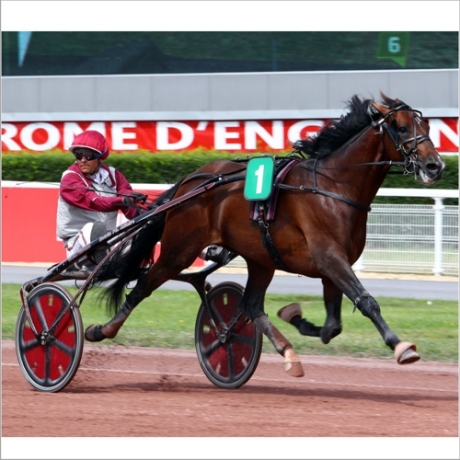 Vend-Part-de-GOTLAND-avec-saillie-2020