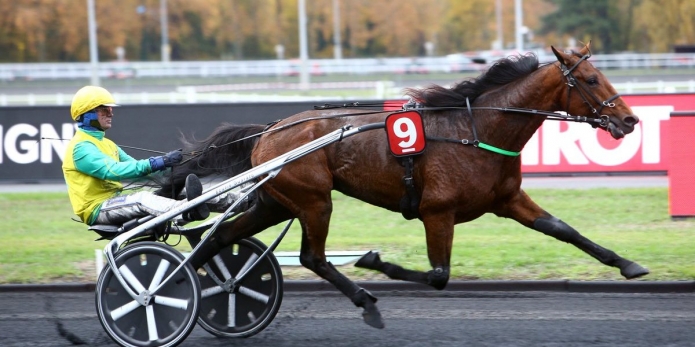 A-vendre-saillie-Face-Time-Bourbon
