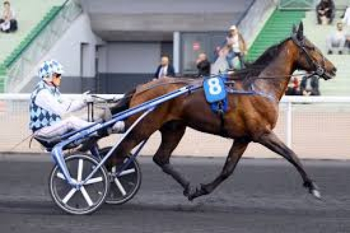 Saillie-EXPRESS-JET