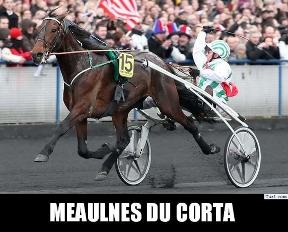 Saillie-MEAULNES-DU-CORTA