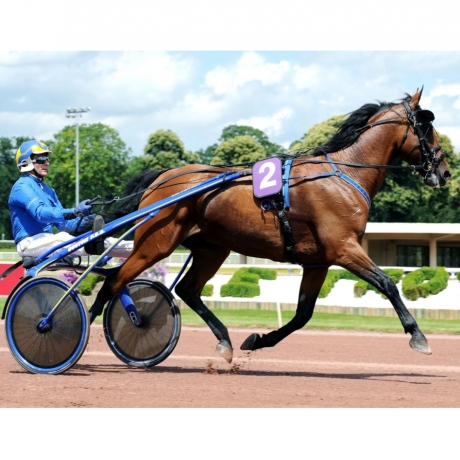 Saillie-2020-QUAKER-JET