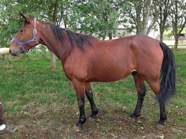 Association-sur-pret-a-courir