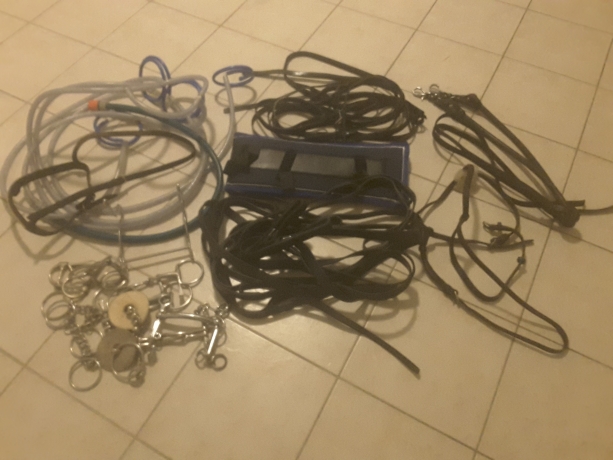 a-vendre-materiel-trotteur-en-tres-bon-etat