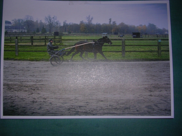 poteau-traverse-pour-cloture-chevaux
