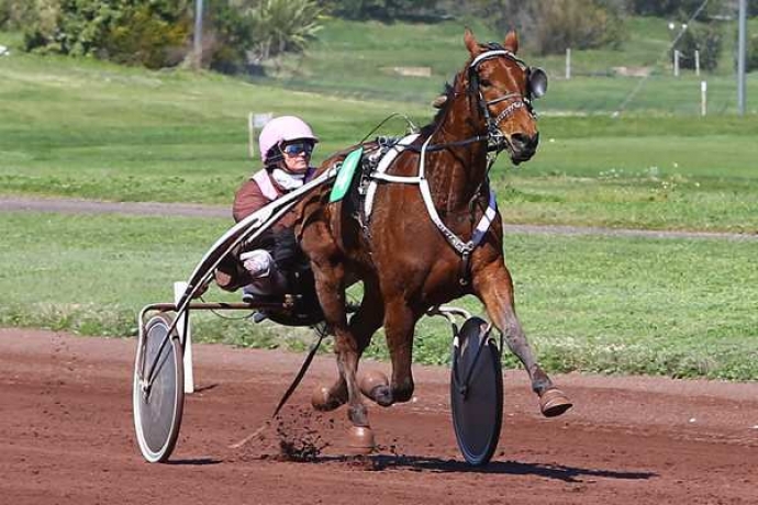 RECHERCHE-CHEVUX-POUR-------