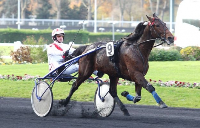 VDS-SAILLIE-DE-VILLAGE-MYSTIC