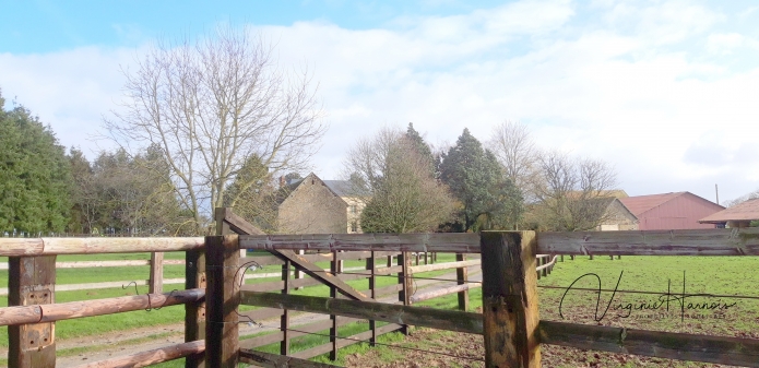 Propriete-herbagere-de-qualite-sur-21ha