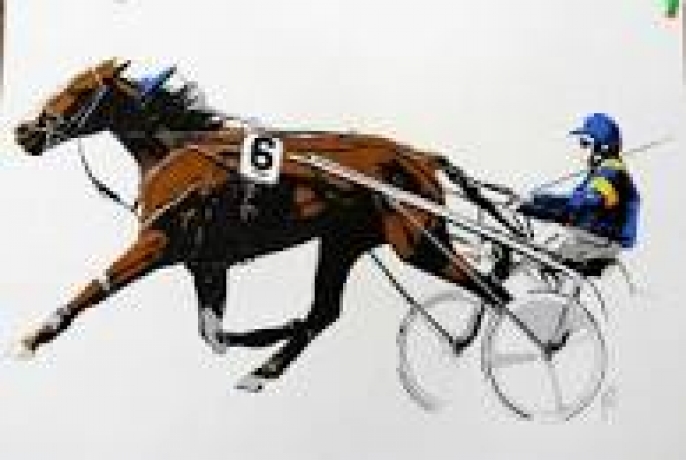 cherche-place-ecurie
