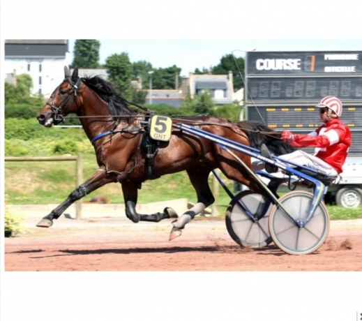 Vds-saillie-TAG-WOOD-(-JAG-DE-BELLOUET)