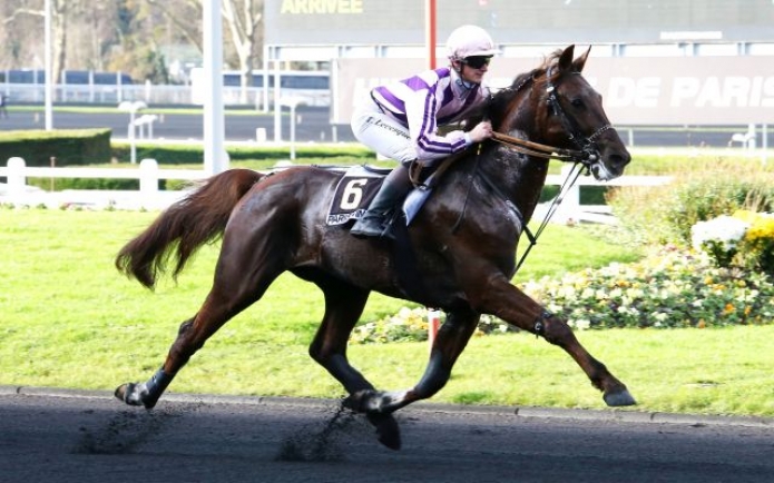 Saillie-Ulysse-(Love-you)-Prix-de-Normandie