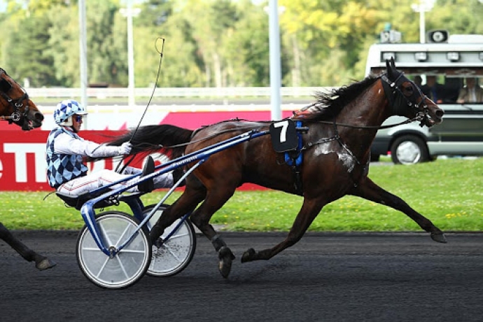 Saillie-Express-Jet