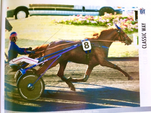 Saillie-ou-part-de-CLASSIC-WAY