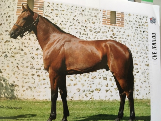 Saillie-ou-part-de-CHE-JENILOU