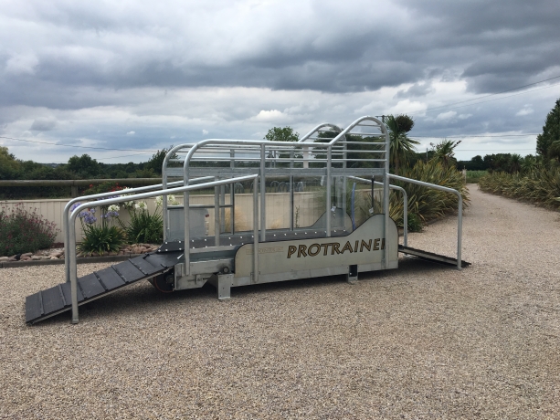 Tapis-roulant-pour-chevaux-Protrainer-HIPPOCENTER