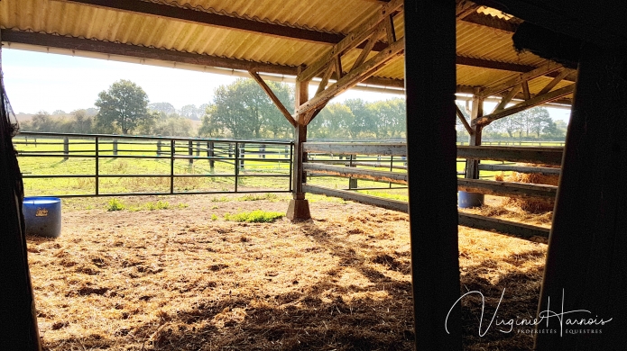 Jolie-propriete-herbagere-12ha