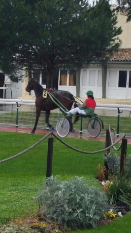 Cavalier-d---entrainement
