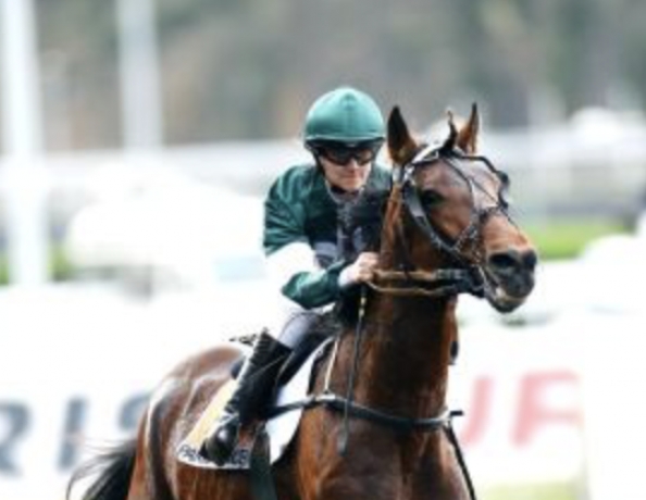saillie-Vaillant-Cash-(remisee-sans-TVA)