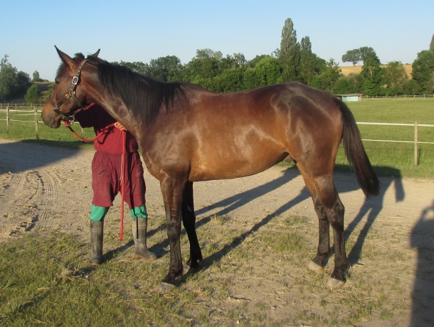 DIM-DU-SABLIER--pret-a-courir-amateur-et-apprenti-