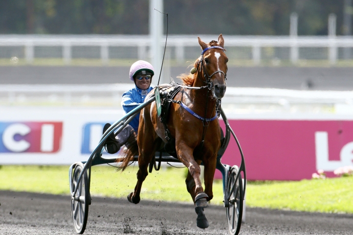 vends-part-de-Carat-WILLIAMS-SANS-TVA-ET-SANS-SAILLIE-2020