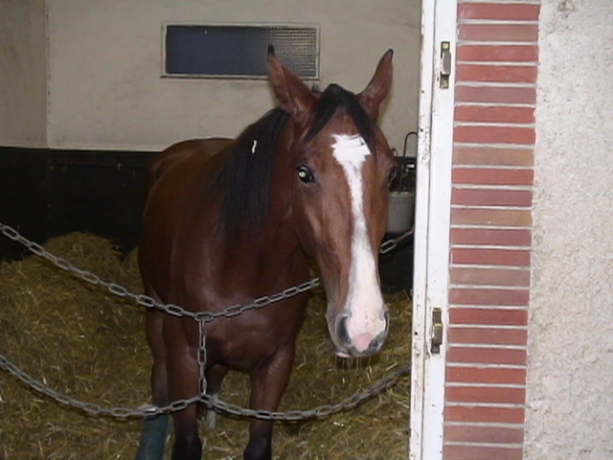 pouliniere