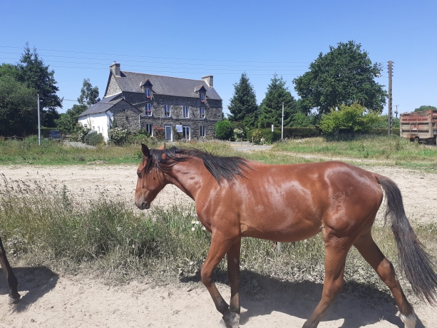 vends-JACOU-de-TOUCHYVON-et-JIMMY-de-TOUCHYVON